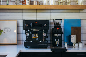 La Marzocco Linea Mini