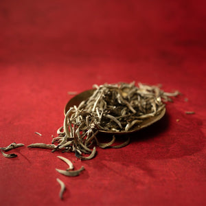 China White Fujian Silver Needle Tea